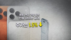 [뉴블더] 아이폰 17 공개…'AI 없네' 주가 뚝