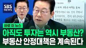 [바로이뉴스] 아직도 투자는 역시 부동산? 부동산 안정대책은 계속된다