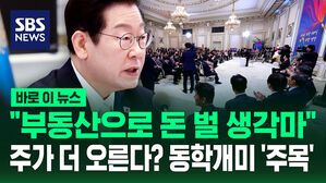 [바로이뉴스] "부동산으로 돈 벌 생각마"&hellip;주가 더 오른다? 동학개미 '주목'