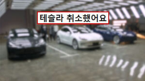 "미국산 취소했습니다"…구금 사태에 뿔난 소비자