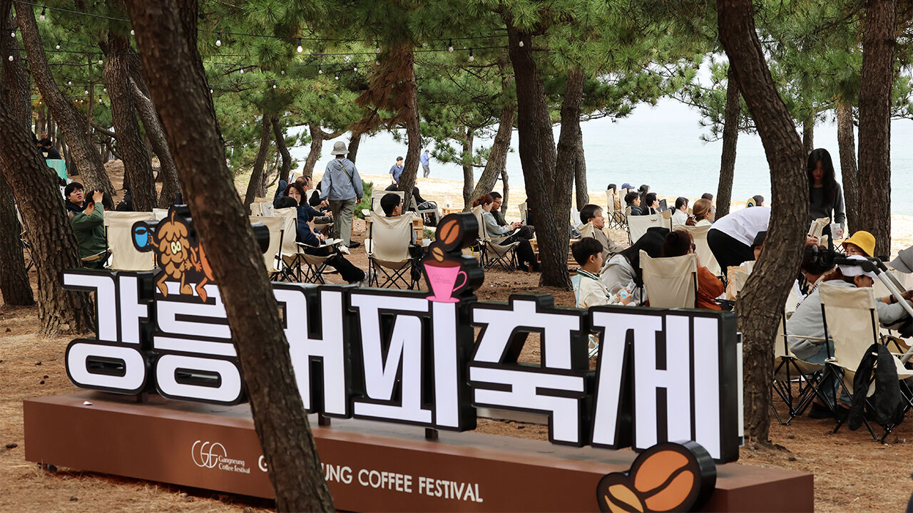 극심한 가뭄 여파…강릉시, 누들 축제·커피 축제 취소