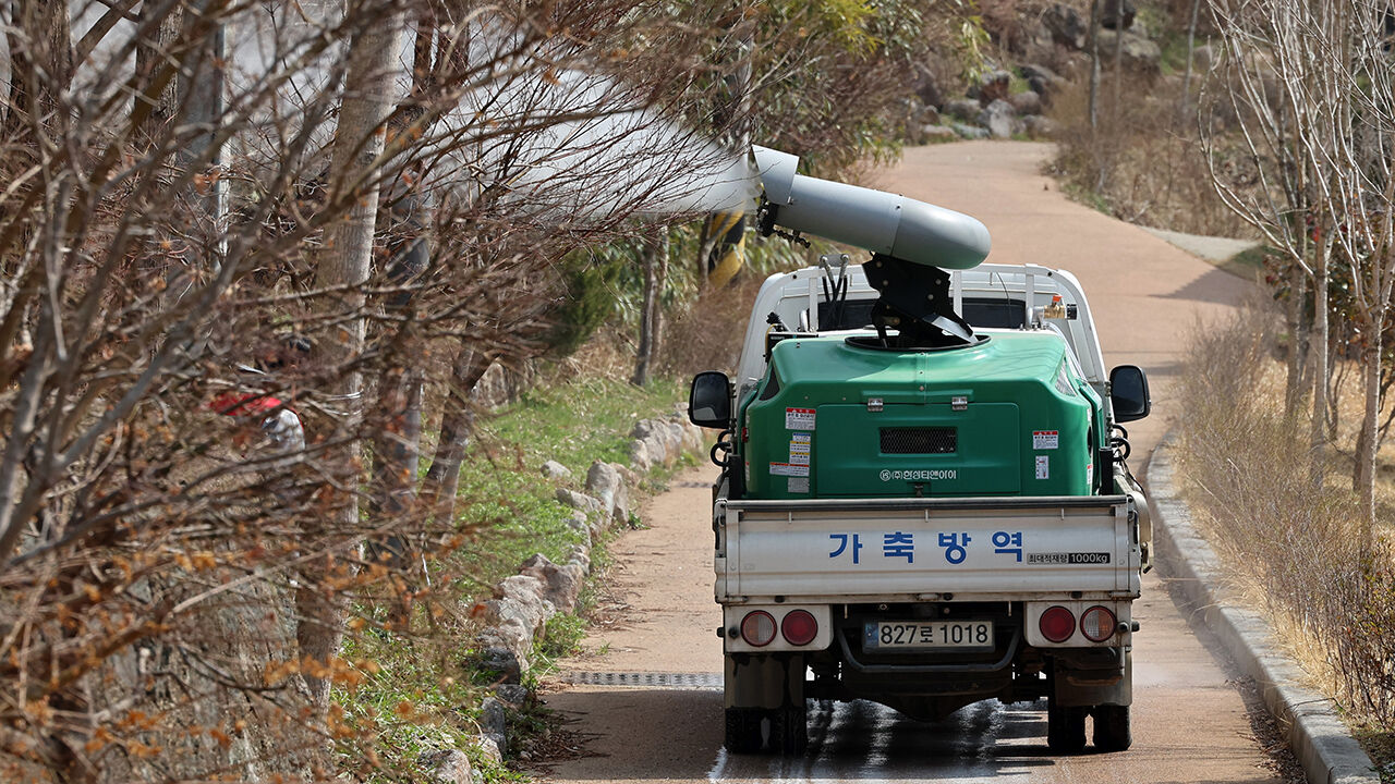경기 파주 토종닭 농장서 H5형 조류인플루엔자 항원 확인