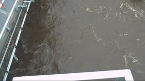 강원 인제 현리교 수위 2.1m&hellip;홍수주의보 발령