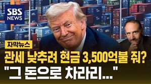 [자막뉴스] "트럼프에 돈 주느니 그 돈으로 수출기업 지원해라"