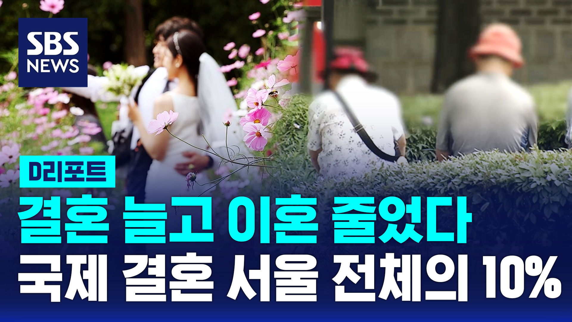 [D리포트] 서울, 결혼 늘고 이혼 줄고…1인 가구 40%