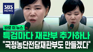 [바로이뉴스] 특검마다 재판부 추가?&hellip;내란전담재판부뿐 아니라 국정농단재판부도 설치