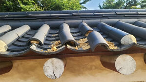 '세계유산' 종묘 담장 기와 훼손한 50대 남성 구속&hellip;"도망 염려"