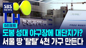 [D리포트] "도봉 야구장 자리에 1,800가구가"&hellip;숨은 서울 땅 '탈탈' 턴다