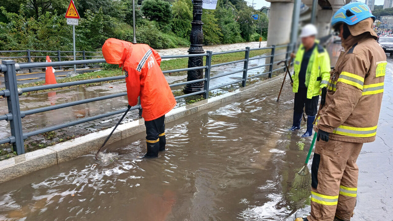 '용인 시간당 53.5㎜' 경기 호우 피해 26건 접수