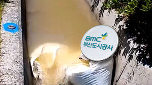 2200톤이라더니 '황당'…흘러 넘쳐 바다로 '콸콸'