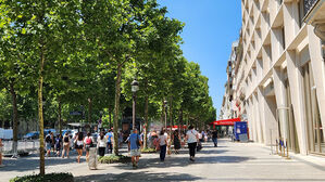 "파리 샹젤리제 거리 부동산 20%는 카타르 소유"