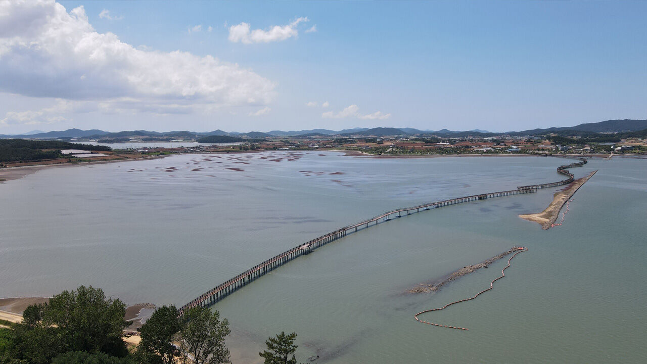무안 갯벌에 길이 1.5km 탐방다리 개통…"생태관광 거점"