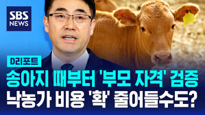 [D리포트] "송아지 단계에서 '부모 자격' 가려냅니다" DNA로 '능력' 판별