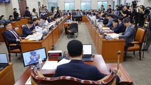 여야 행안위 정부조직법 대립&hellip;"국정 발목 잡기"&middot;"상륙작전인가"