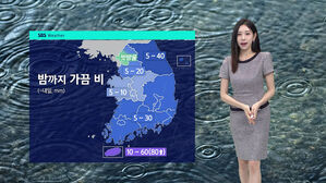 [날씨] 군산 230mm 폭우…밤까지 비 이어져