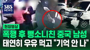 [현장영상] 3명 연쇄 폭행하고 차 훔쳐 뺑소니 "술에 취해 기억 안 나"