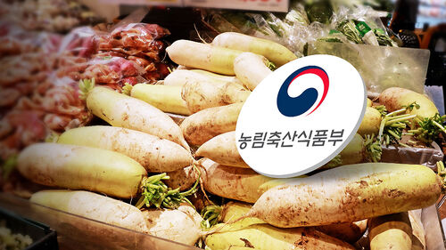 900억 투입하는데…할인 직전 슥 대형마트 꼼수