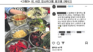인플루언서 모아 '뒷광고' 2,300건 대행&hellip;네오프 공정위 제재