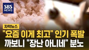 [자막뉴스] "요즘 이게 최고" 인기 폭발&hellip;까보니 "장난 아니네" 분노