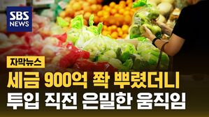 [자막뉴스] "정부가 도와주니까 좋죠"&hellip;그런데 왜 달라진 게 없지?