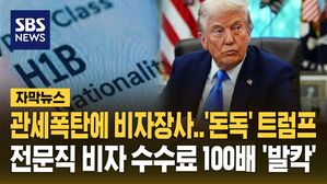 자막뉴스 제목