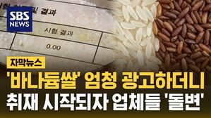 바나듐쌀 자막뉴스 제목