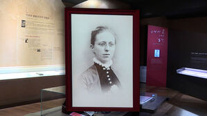 '숭고한 희생' 로제타 이야기, 일본 무대로