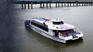 한강버스 운항 임시 중단&hellip;"일정 조정 중" 무슨 일