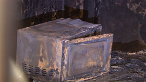 "'팡' 터지는 소리"&hellip;엄마 숨지고 초등생 아들 중태