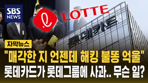 [자막뉴스] "브랜드 이름에 먹칠" 롯데카드 롯데그룹에 사과&hellip;무슨 일?