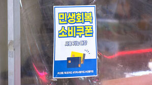 "국가정보시스템 장애에도 소비쿠폰은 정상 운영 중"