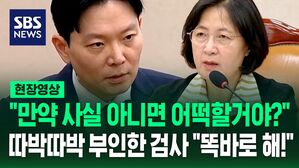 [현장영상] "사실 아니면 어떻게 하시겠습니까?" '연어&middot;술 파티' 이화영 진술 회유 의혹 부인한 검사