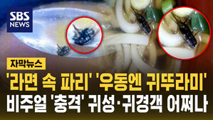 [자막뉴스] '라면 속 파리' '우동엔 귀뚜라미'&hellip;비주얼 '충격' 귀성&middot;귀경객 어쩌나