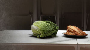 '당뇨병 치료' 배추·감자도?…알아도 단속 못한다