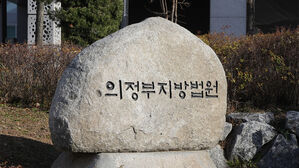 반려동물 11마리 죽인 20대, 항소심서 징역 1년 6개월…법정구속