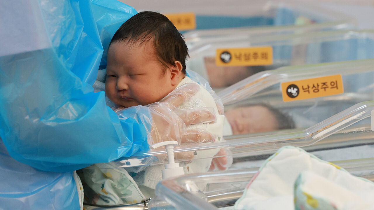 출생아 수 13개월 연속 증가…7월 혼인 건수 9년 만에 최다