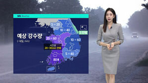[날씨] 내일까지 비 계속…최대 80mm 이상