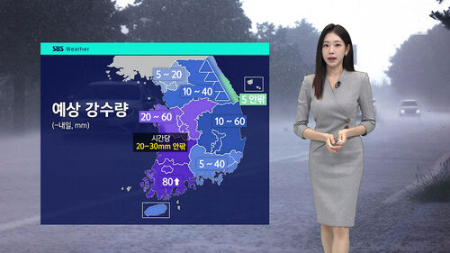 [날씨] 내일까지 비 계속…최대 80mm 이상