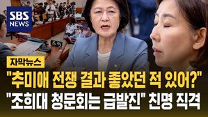 [자막뉴스] "청문회 좀 급발진하지 않았나" 친명 김영진 직격&hellip;"추미애 전쟁에서 결과 좋았던 적 있었나"