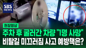 [현장영상] "기어 조작 미숙" 주차 후 미끄러져 내려가는 차량 잡아보지만&hellip;