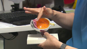 [이과적 사고] 안약으로 노안 교정? 노안 수술의 A to Z