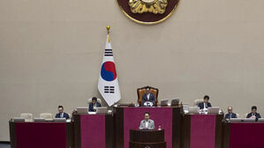'증언감정법' 통과…비쟁점 법안 처리도 난항