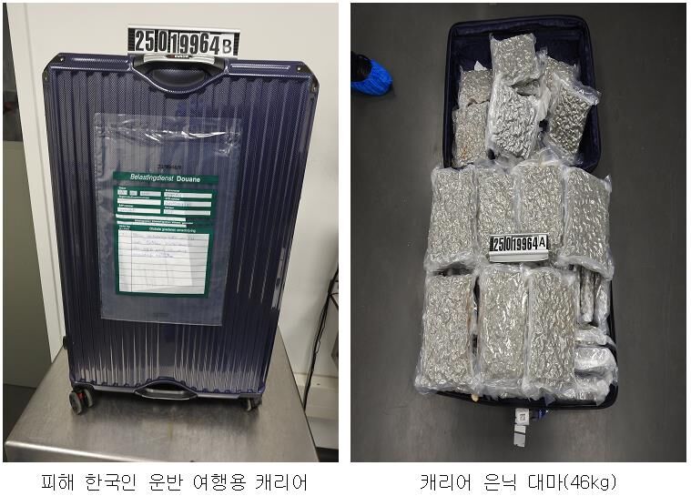 한국인 여행객의 캐리어에 숨겨진 대마 (사진=국가정보원 제공, 연합뉴스)