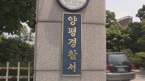 "돌보던 고양이에 누군가 화살 쏴 관통"…112 신고에 경찰 수사
