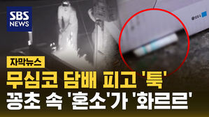 [자막뉴스] 무심코 담배꽁초 투척? 꽁초 속 숨은 '혼소' 주의보