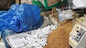 "이게 무슨 냄새야"…초등학교 앞 '불법 담배' 제조 현장이?