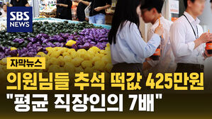 [자막뉴스] 국회의원 추석 떡값 425만 원&hellip;직장인 평균의 7배