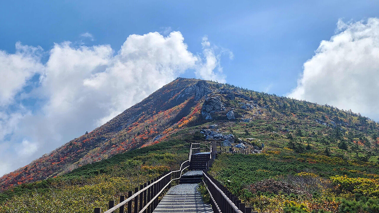 설악산 단풍 시작, 평년보다 4일 늦어