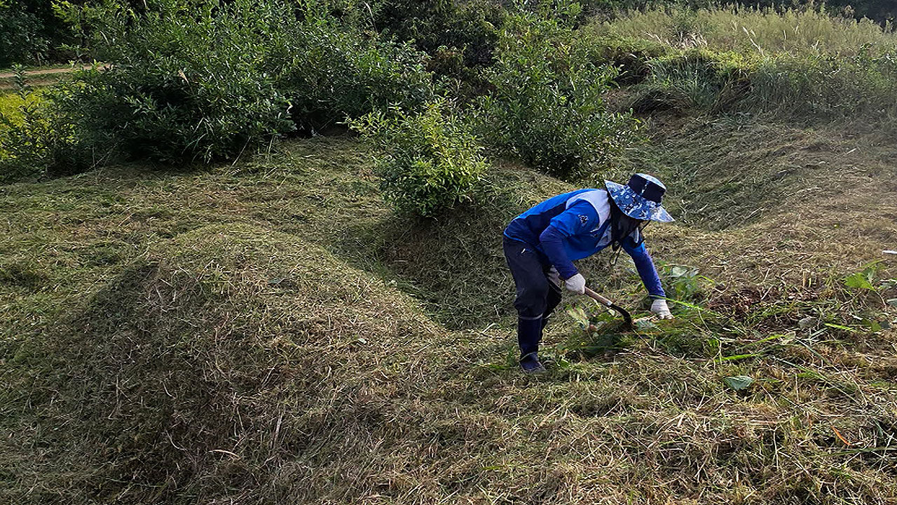 "연휴 야외활동·성묘 시 진드기 감염병 주의해야"