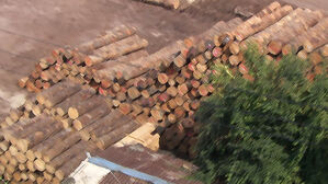 [단독] 주택가 덮쳤다…'무색무취' 독성 가스 정체